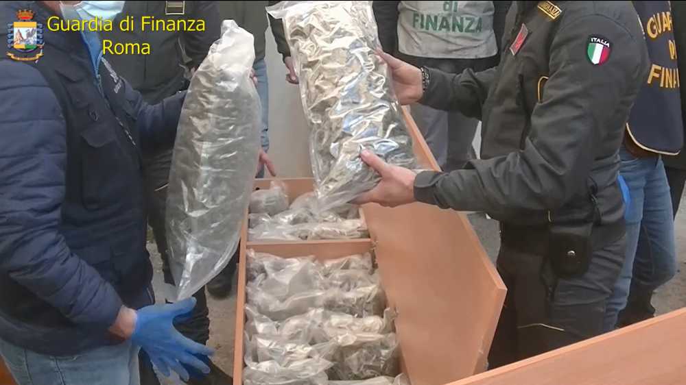 Trovati 207 chili di marijuana al porto di Civitavecchia dalla cagnolona finanziera Losna