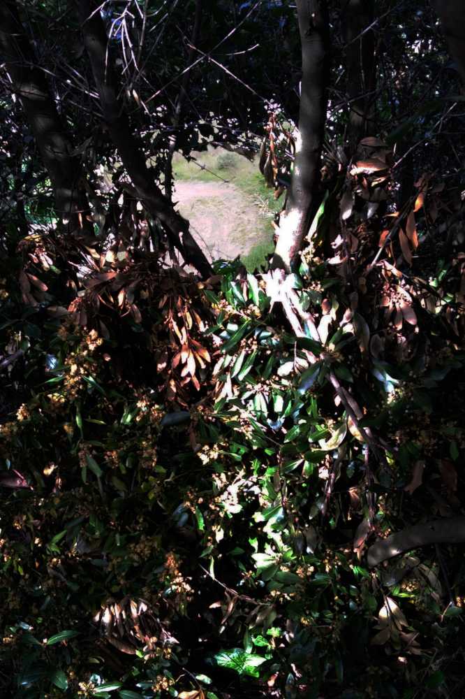 giacigli necropoli banditaccia cerveteri