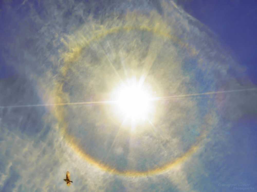 ALONE_SOLARE