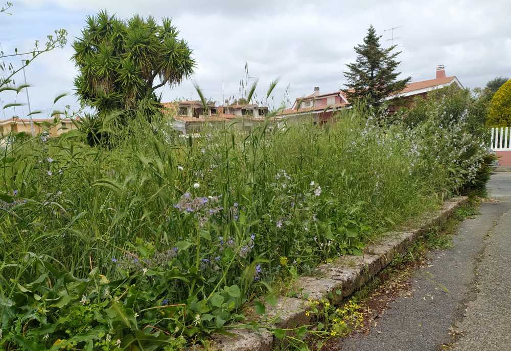 degrado miami degrado miami