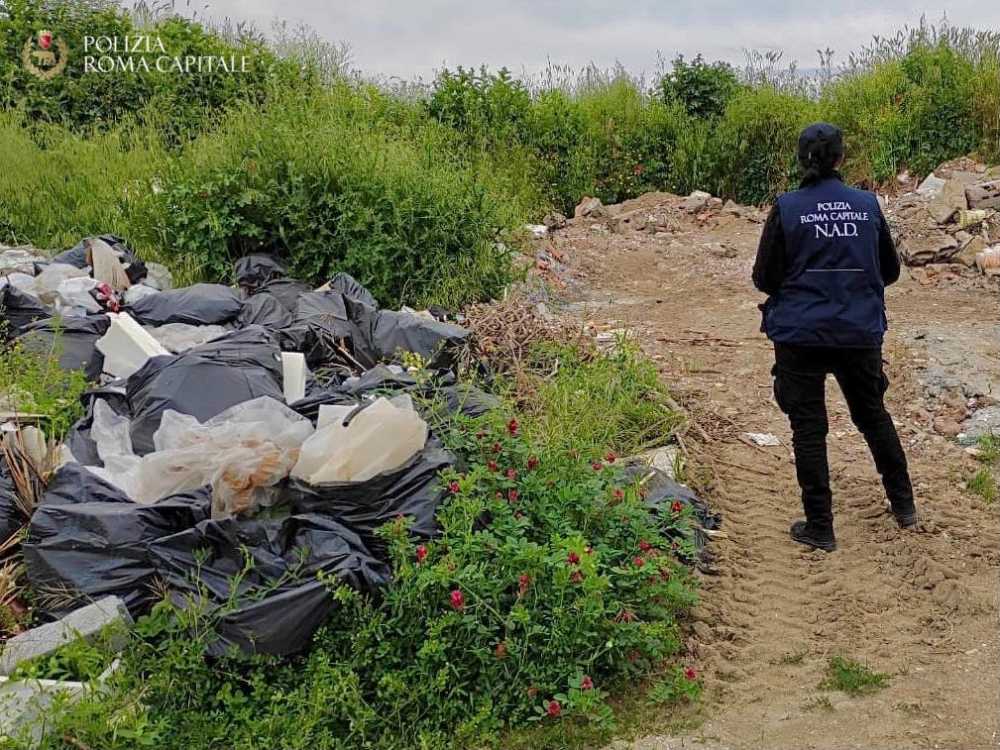 discarica abusiva