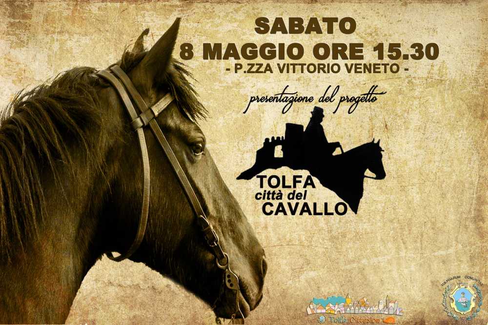 cavallo tolfa 1 cavallo tolfa