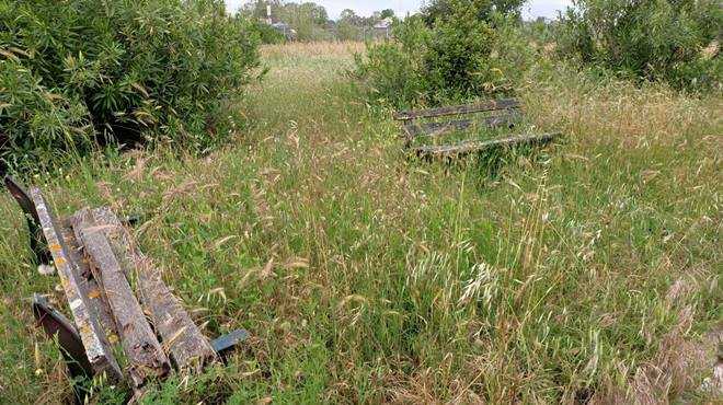 degrado parco fiumicino degrado parco fiumicino