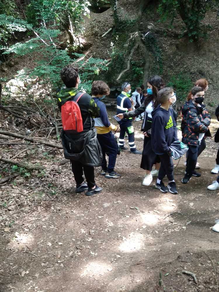 sorgente bosco valcanneto scuolambiente