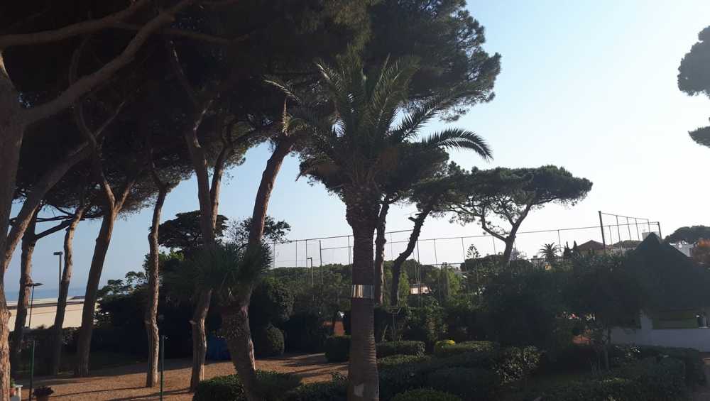 Riapre lo Sporting Club Santa Marinella