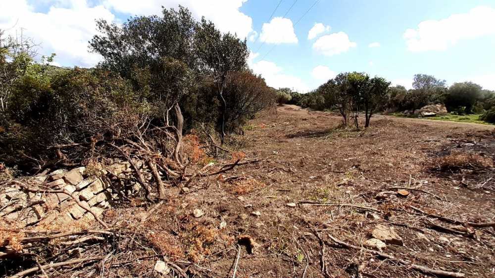 Stop ai lavori dell’Agraria a Civitavecchia