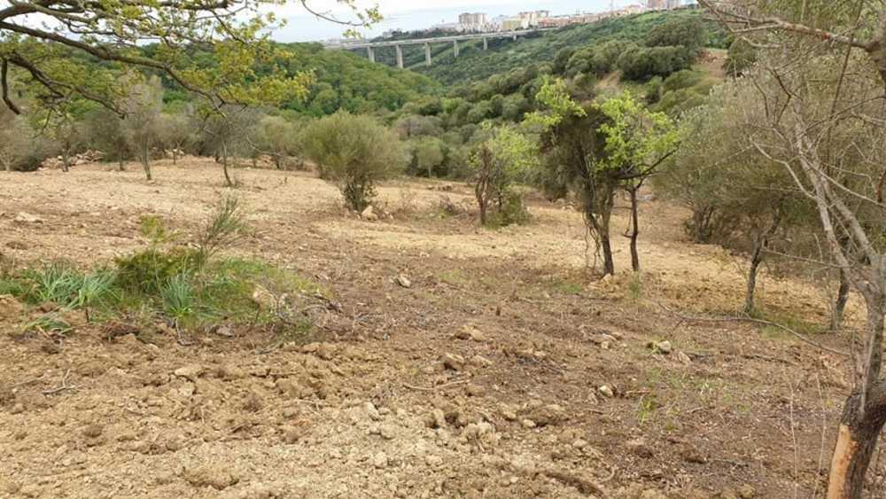 Valle del Fosso dell’Infernaccio, interviene il Wwf: “Esposto ai Forestali”