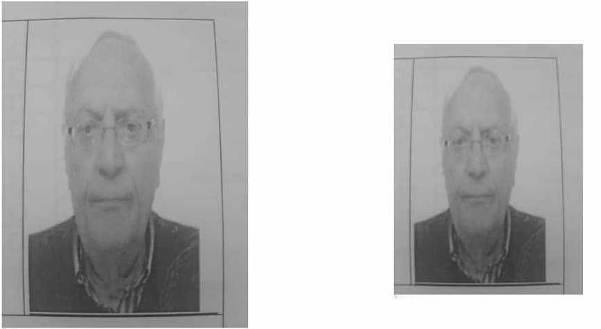 rocco gioffrè rocco gioffrè