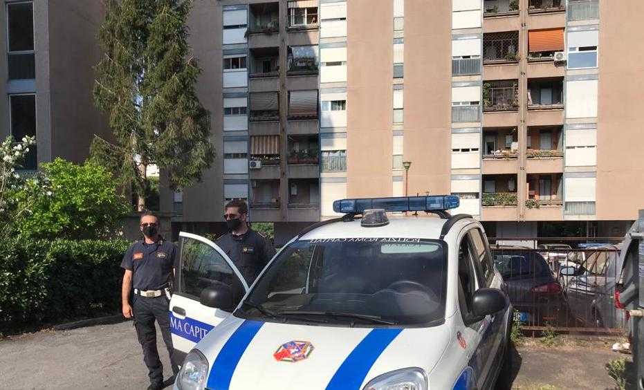alloggio ater spinaceto