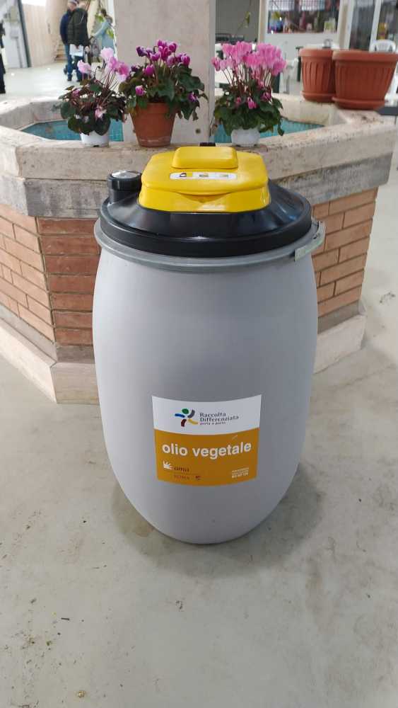 Raccolta olio 1