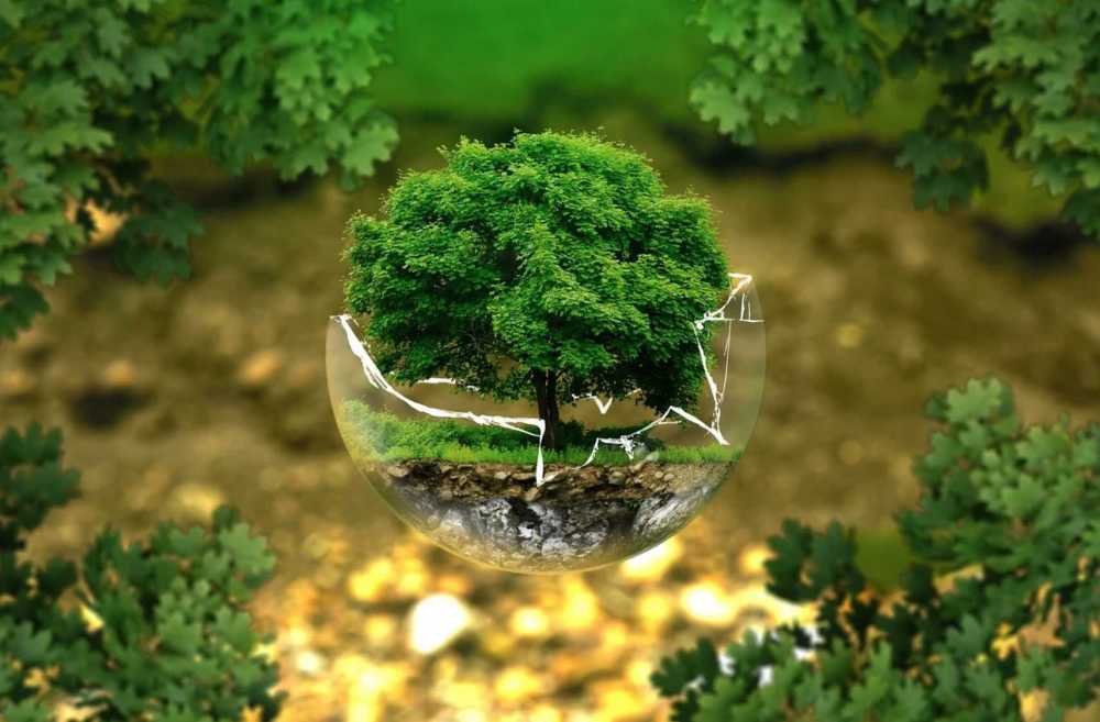 La tutela dell'ambiente diventa un principio fondamentale della Costituzione italiana • Terzo La tutela dell'ambiente diventa un principio fondamentale della Costituzione italiana • Terzo
