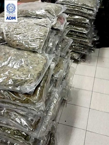 droga marijuana dogane civitavecchia 1