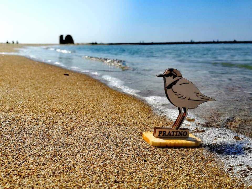 fratino torre flavia foto ester mantero