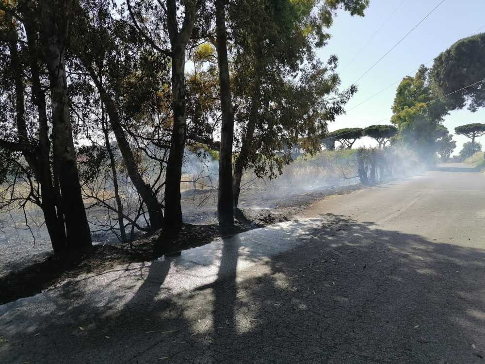 incendio granaretto sterpaglie