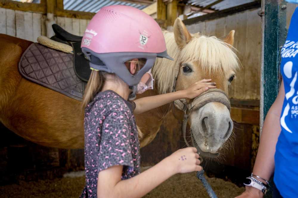 pet therapy animali (2) pet therapy animali