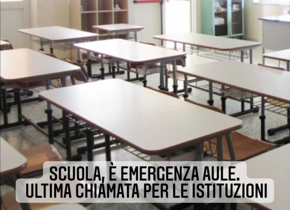 classi pollaio