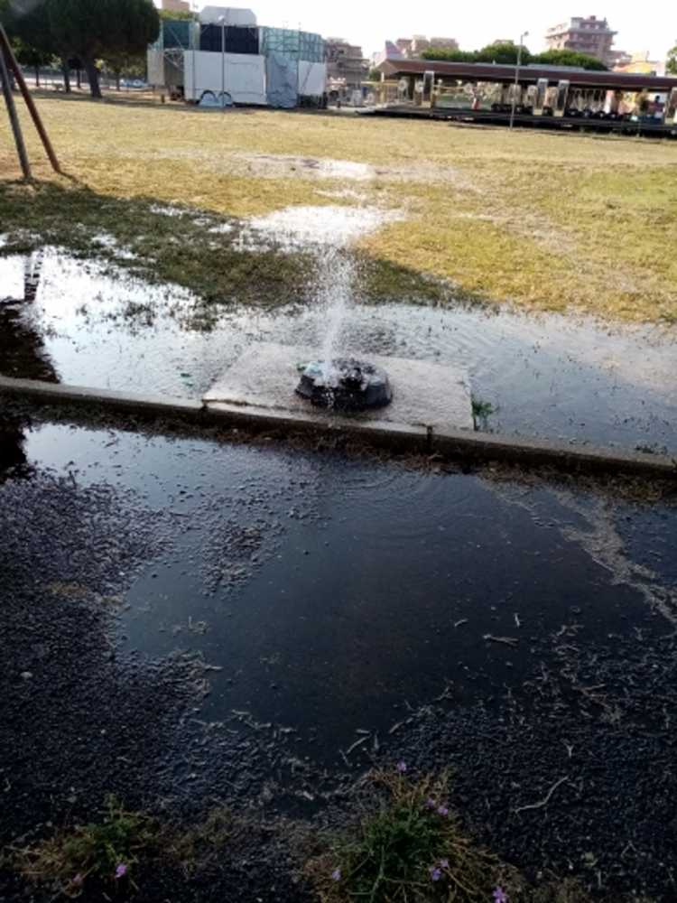 fontanella ladispoli via firenze