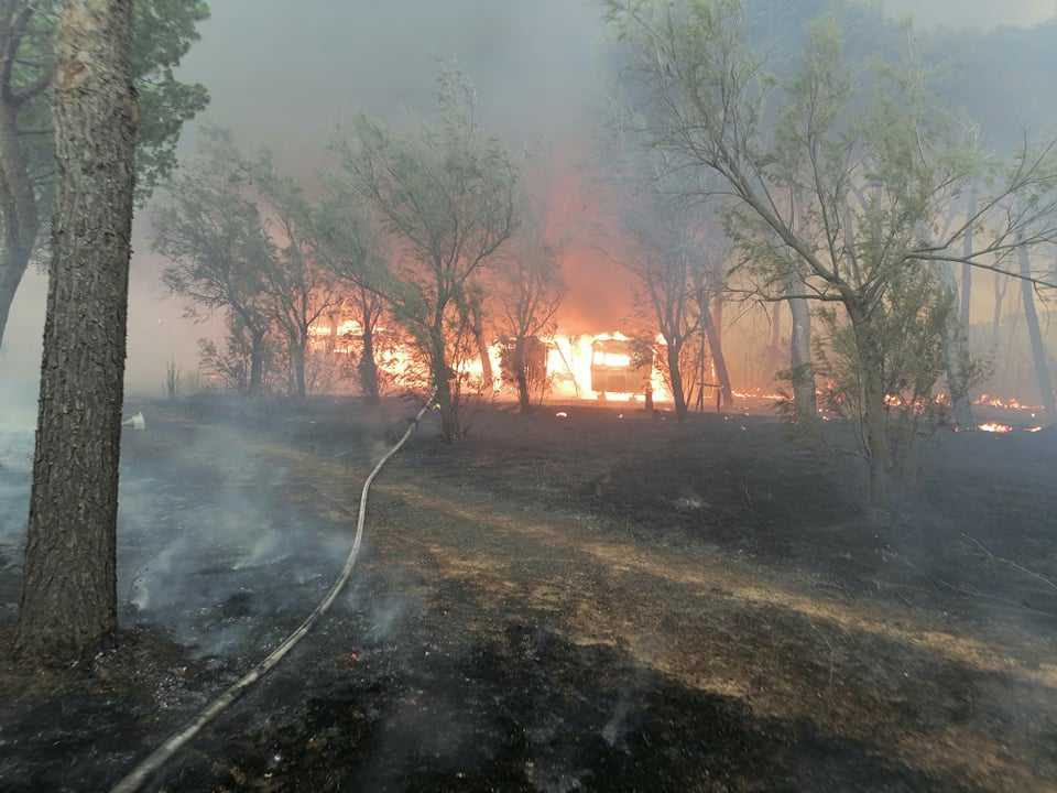 incendio bosco frasca