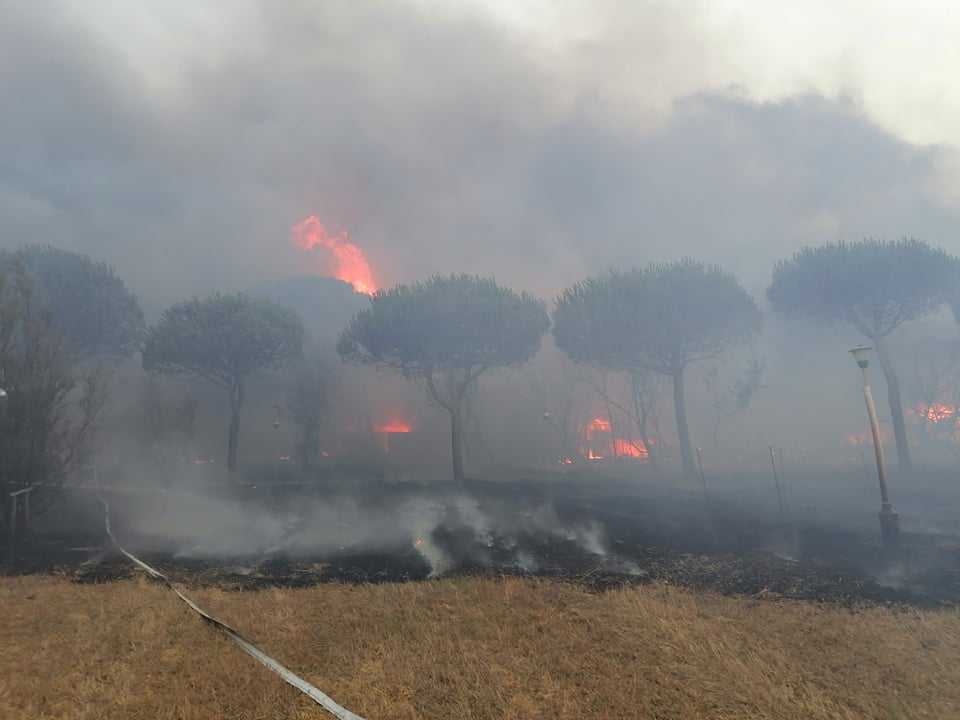 incendio frasca
