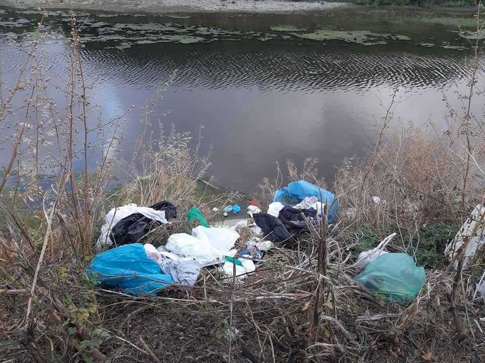 rifiuti vaccina fareambiente ladispoli rifiuti vaccina fareambiente ladispoli