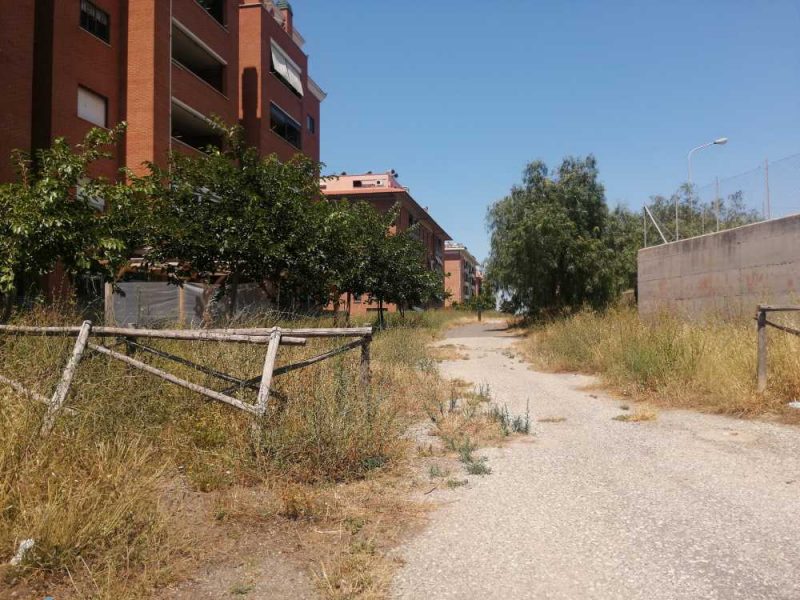 via padri dominicani prima sfalcio