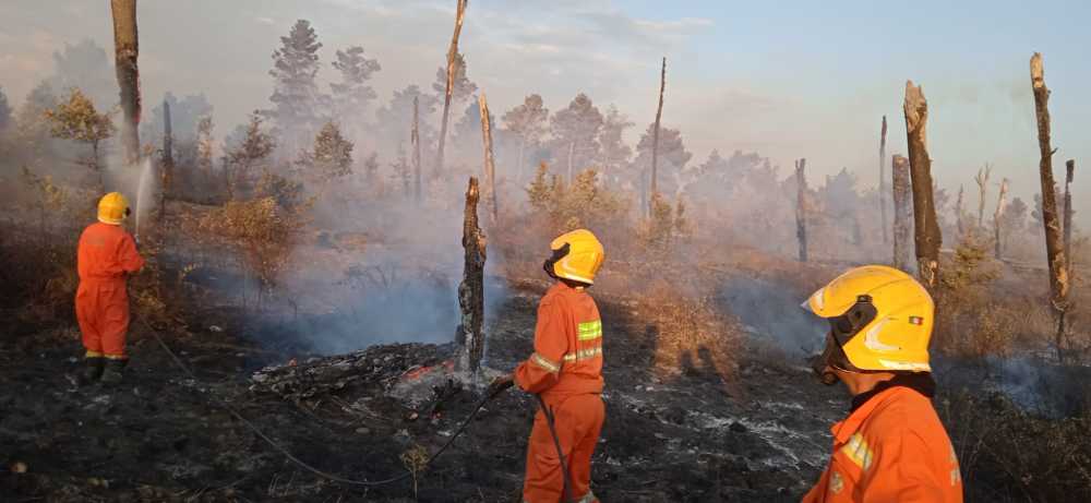avab bracciano incendio 4