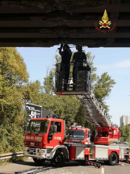 camion incastrato ponte vvf vigili fuoco pompieri (1)