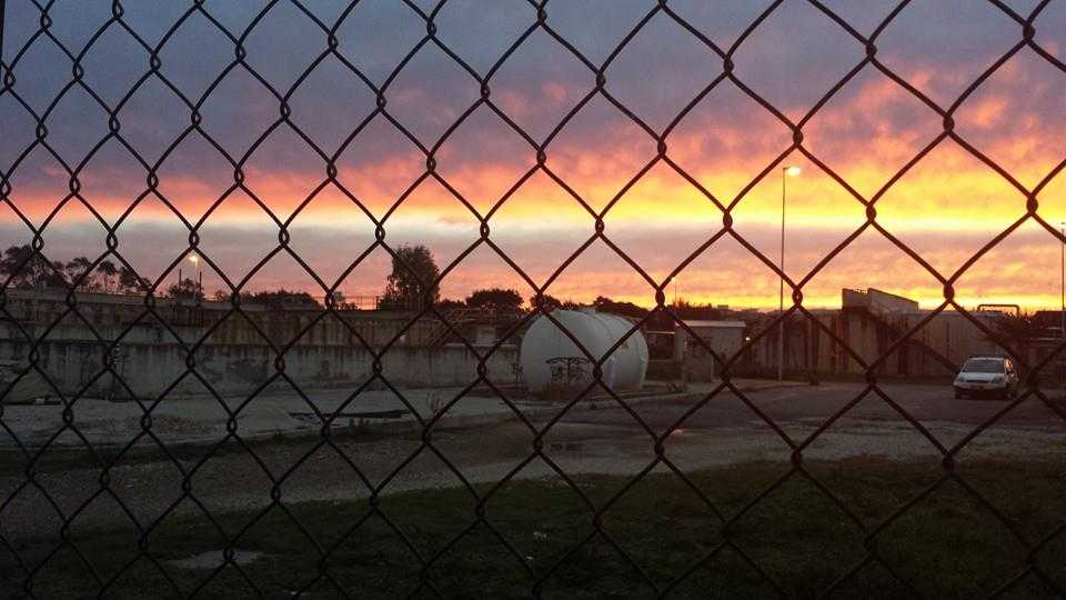 depuratore ladispoli