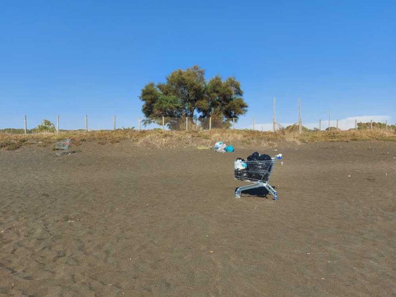 immondizia torre flavia