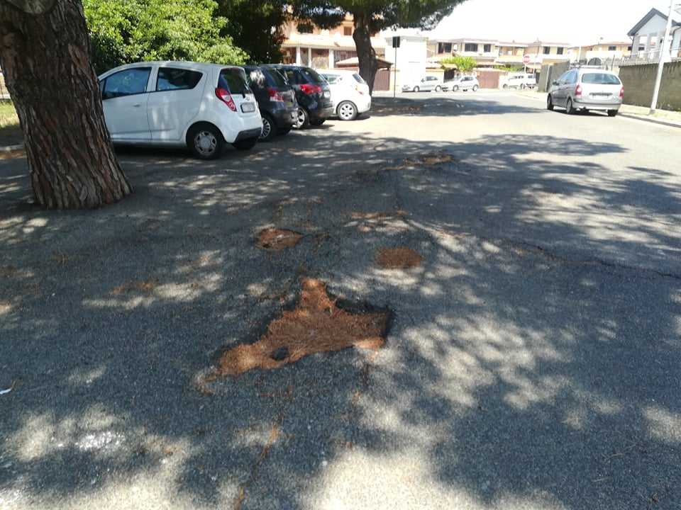 radici via montecarlo ladispoli 1