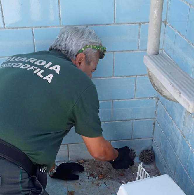 ricci piscina fareambiente cerveteri