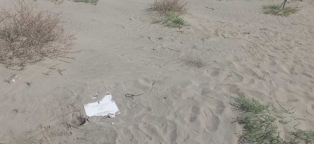 torre flavia devastazione ferragosto