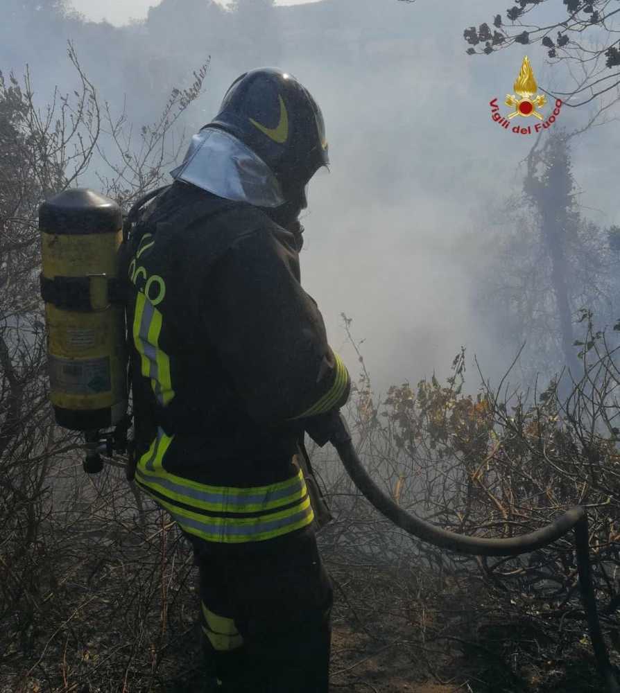 vvf vigili fuoco pompieri bosco sterpaglie 1 vvf vigili fuoco pompieri bosco sterpaglie 1