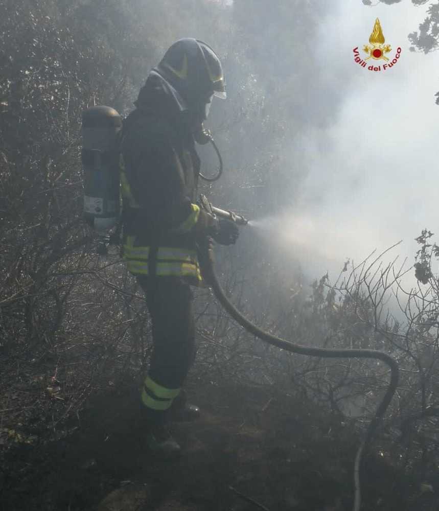 vvf vigili fuoco pompieri bosco sterpaglie 2 vvf vigili fuoco pompieri bosco sterpaglie 1