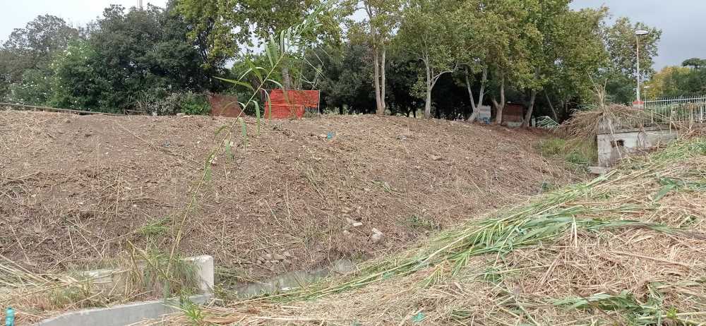 150_Fosso fossi santa marinella 150_Fosso fossi santa marinella