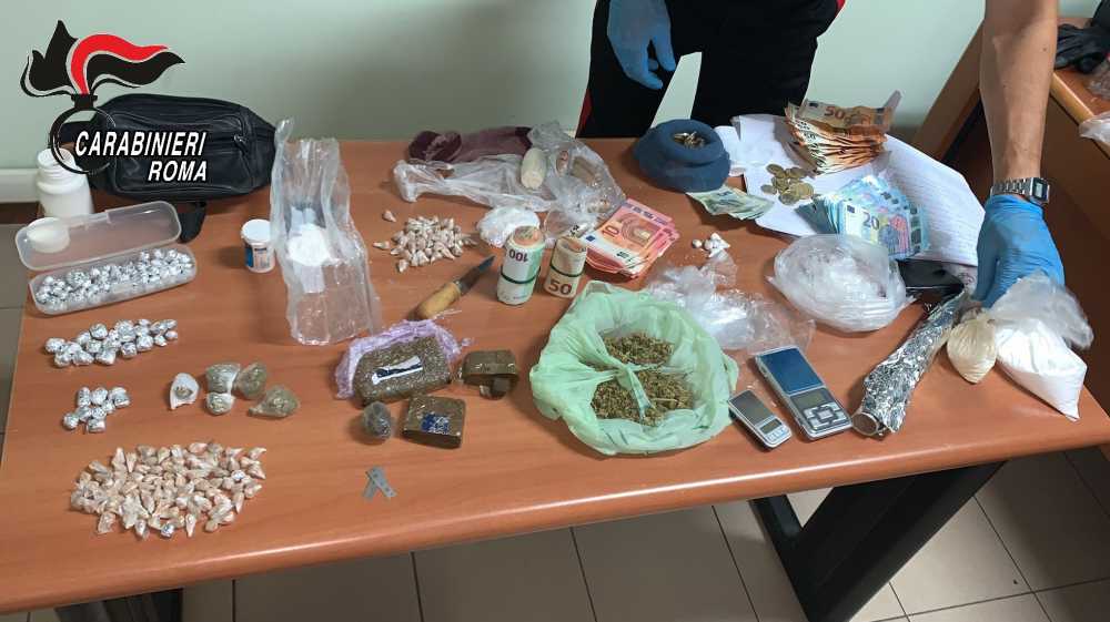 BRACCIANO – La droga sequestrata dai Carabinieri (2) BRACCIANO - La droga sequestrata dai Carabinieri (2)