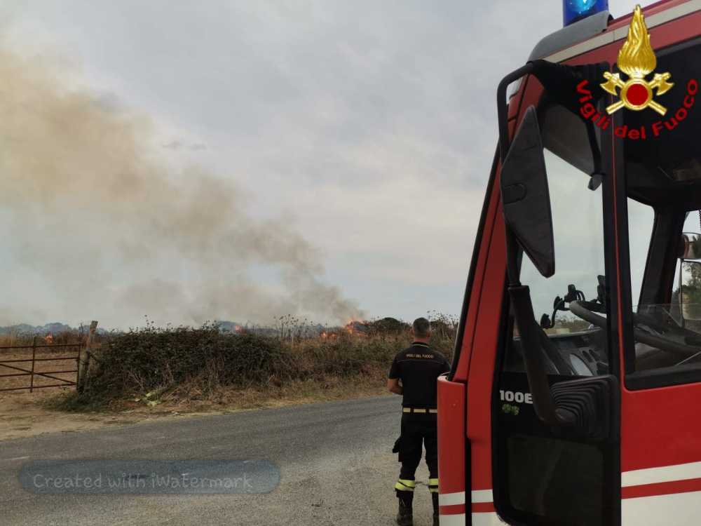 incendio boschivo vvf vigili fuoco pompieri