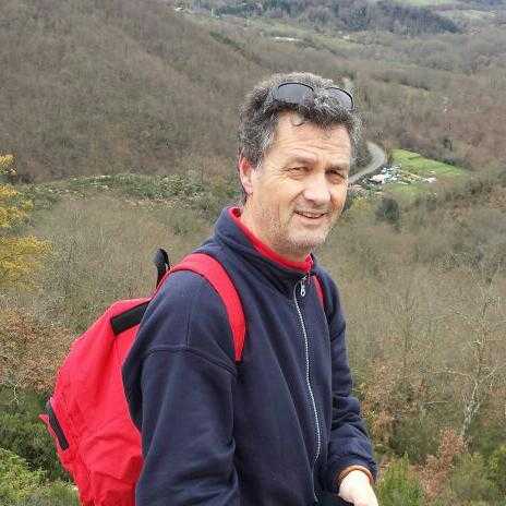 mario curi mario curi