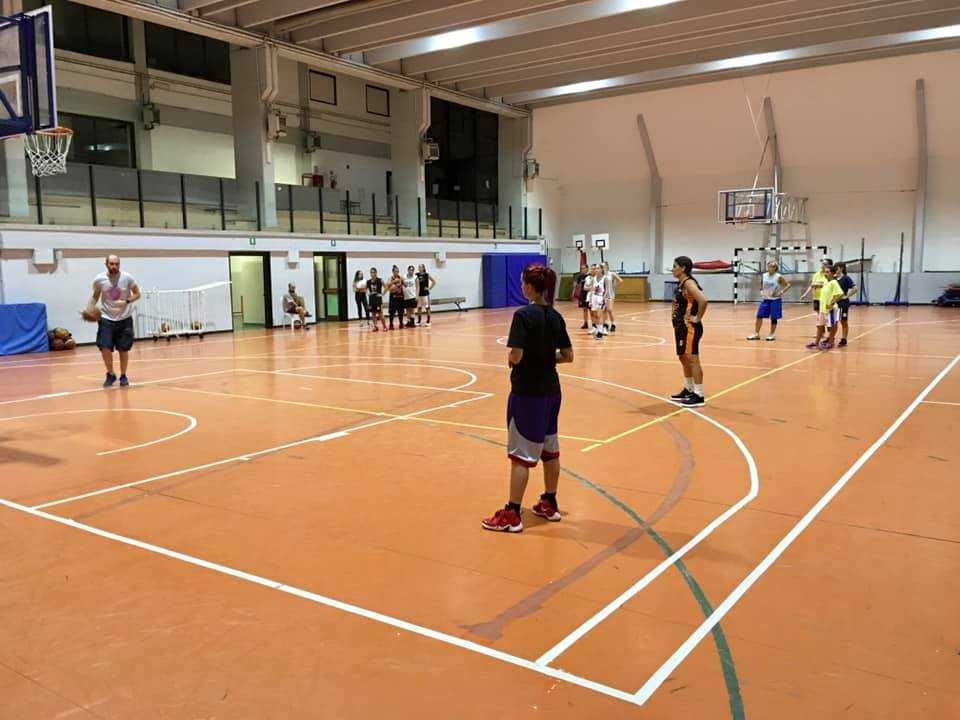 palestra melone ladispoli