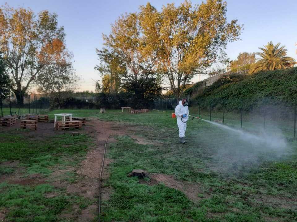 park dog cerenova campo mare disinfestazione 5