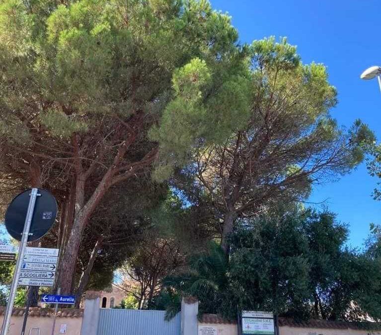 Settanni, FdI: “La vicenda dell’Immacolata conferma che a Santa Marinella si può e si deve cambiare la politica comunale”