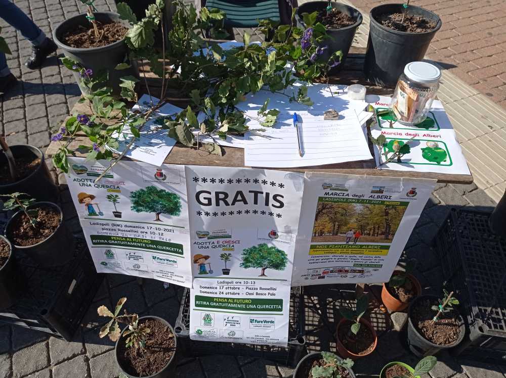 Ladispoli 2021 adotta (e cresci) una quercia IMG_20211017_111051