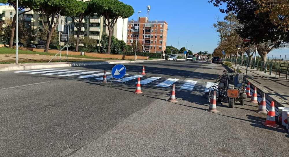 strisce pedonali ladispoli