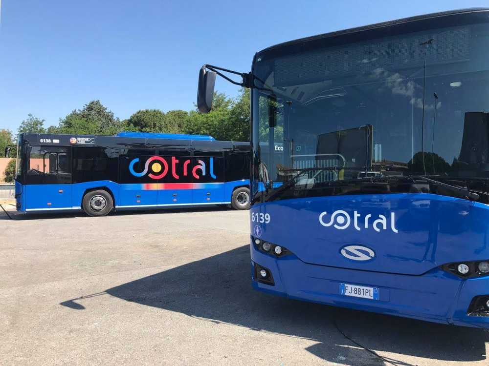 cotral bus 1 cotral bus