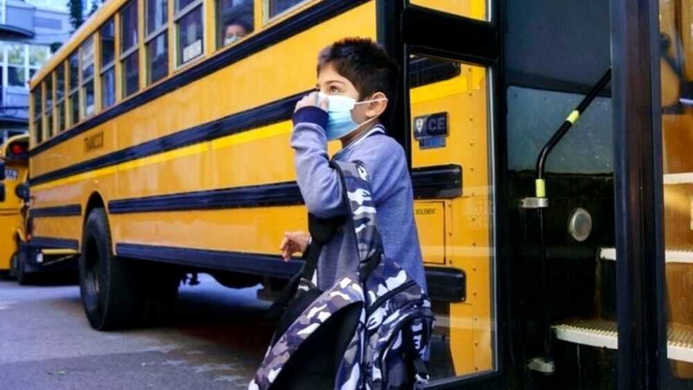 mascherina scuolabus mascherina scuolabus