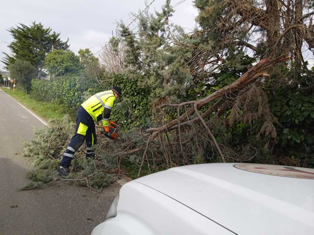 protezione civile via del sasso