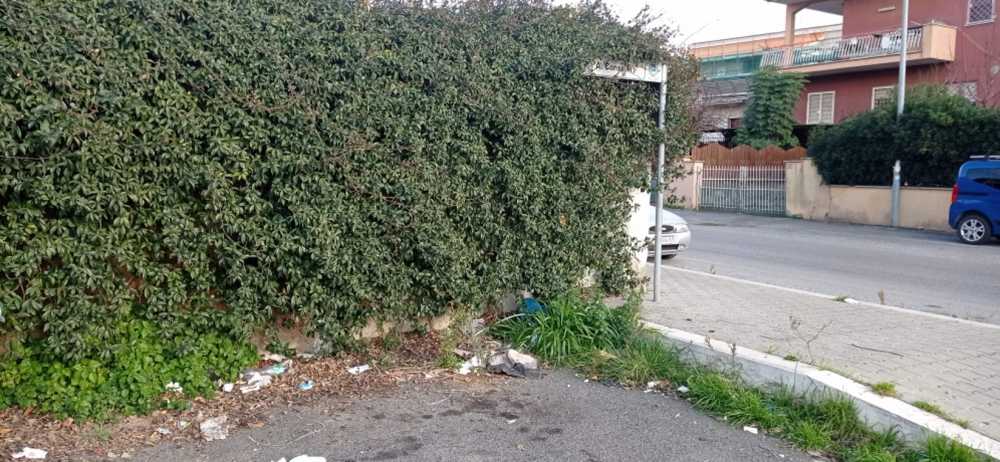 sporcizia vanara cerveteri sporcizia vanara cerveteri