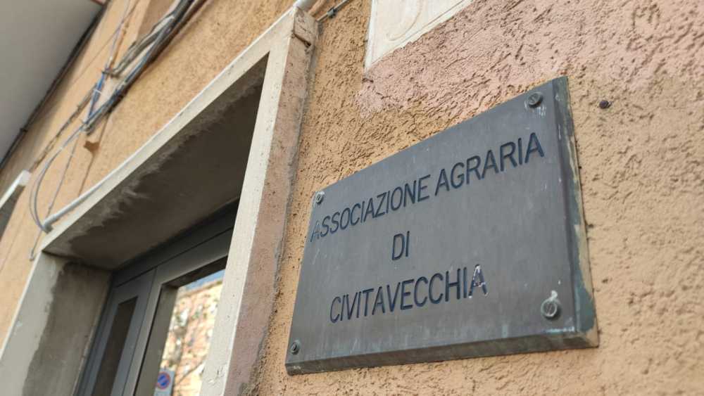 uniagraria civitavecchia 2 uniagraria civitavecchia 2