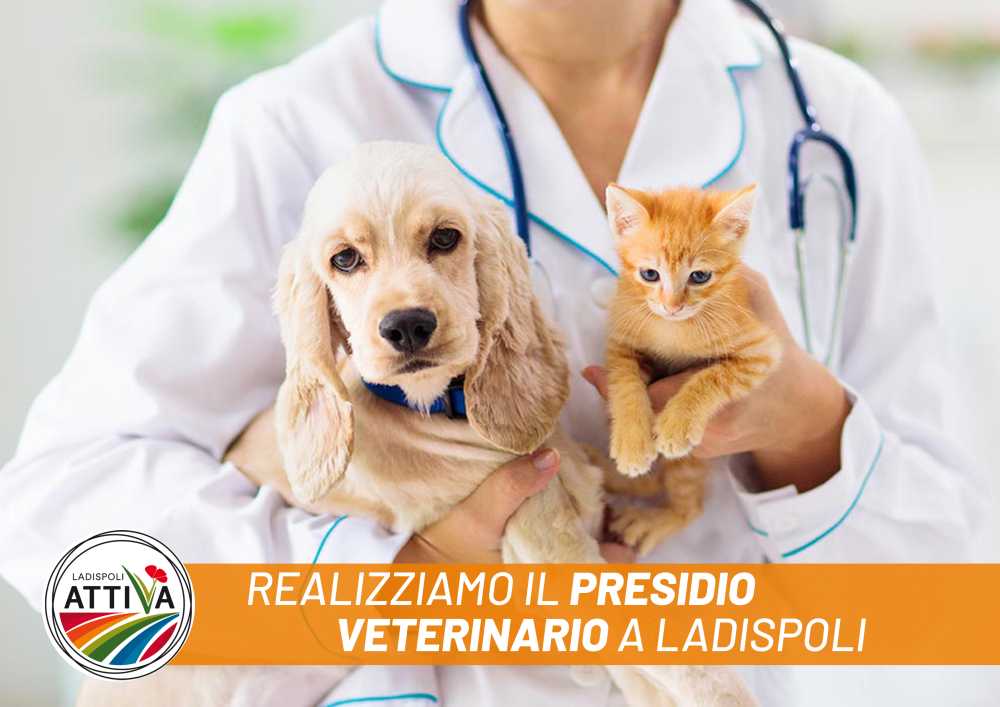 Ladispoli è attiva presidio sanitario veterinario cani gatti Ladispoli è attiva presidio sanitario veterinario cani gatti