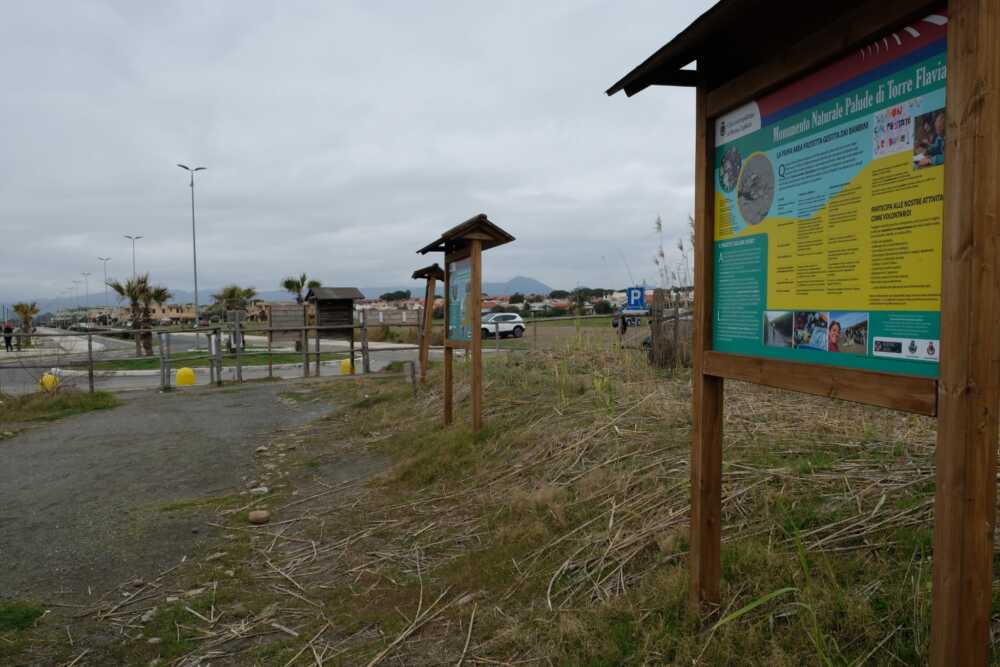 Sopralluogo-vicesindaca-Gubetti-Citta-Metropolitana-Torre-Flavia-2